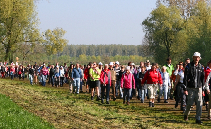 Wandelen in Venray